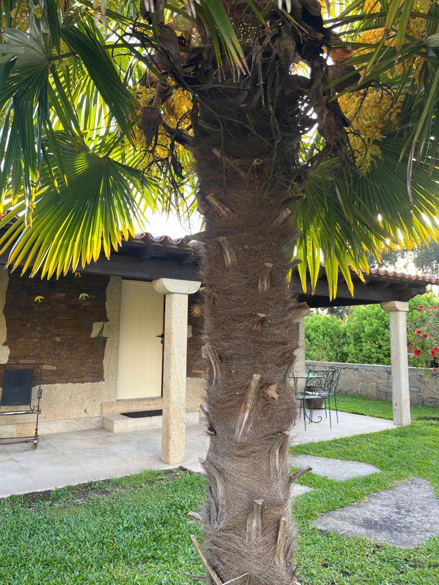 Casas Do Picoutinho Villa Ponte de Lima Exterior photo